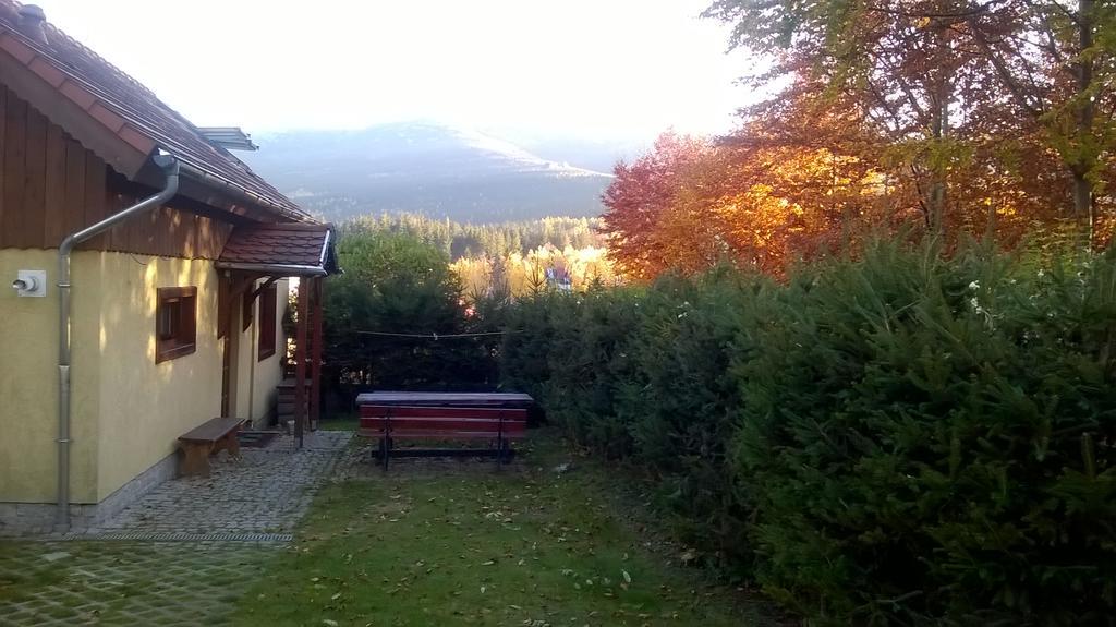 Storczyk *